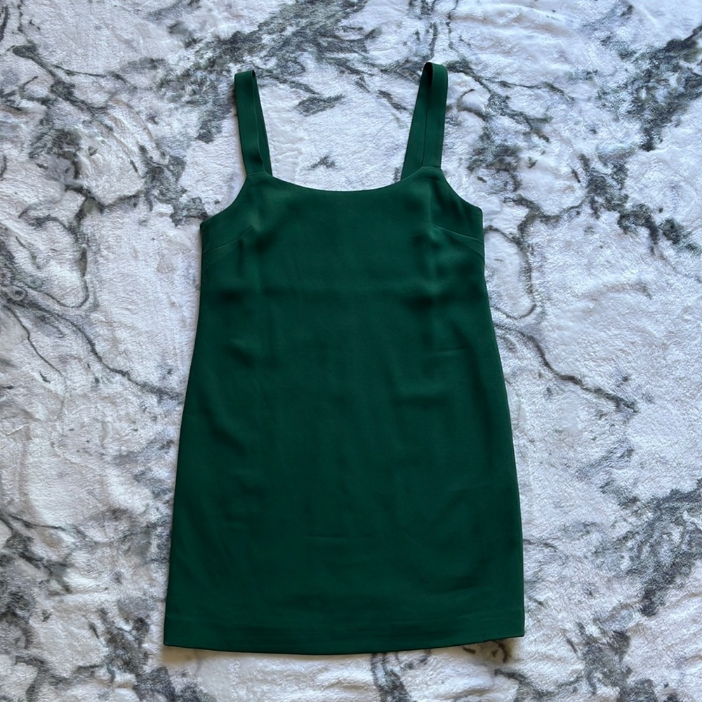 Babaton Mini Dress